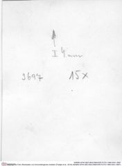 Historisches Foto (Rückseite) von Annuntidiogenes hoelderi (Fraaije et al., 2019) (NHMW-AFW-GEO-BACHMAYER-FOTO-1990-0041-3697)